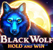 Black Wolf Hold and Win Automat