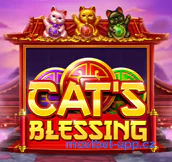 Cat's Blessing Automat